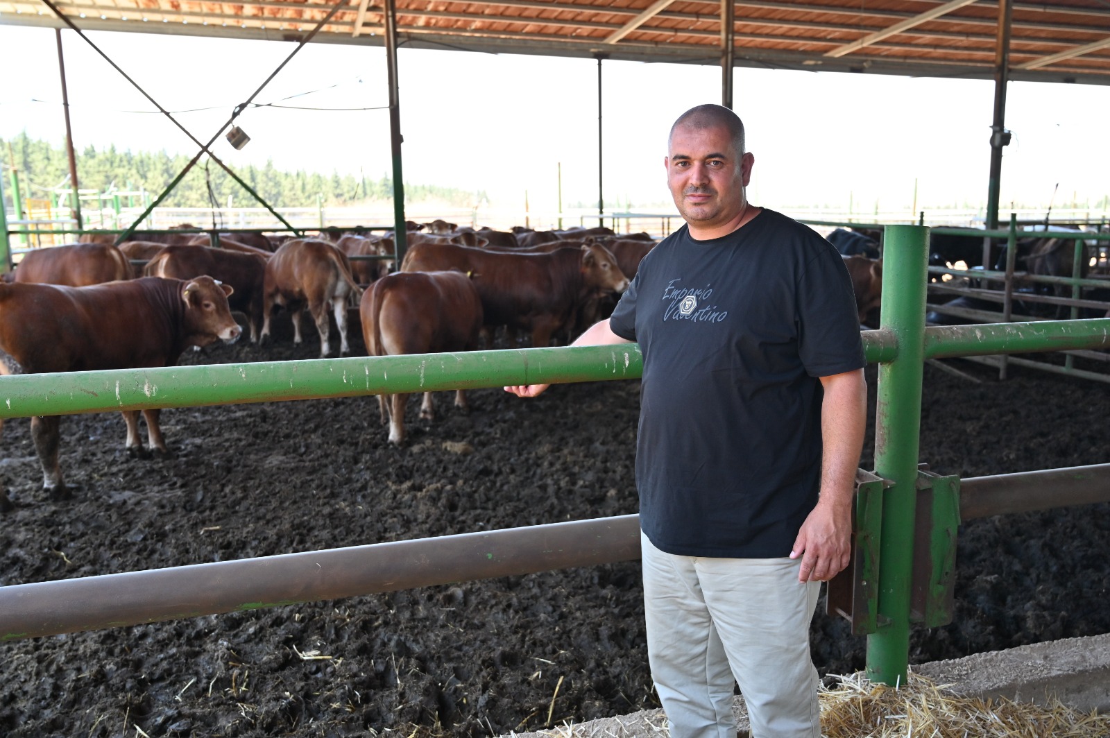 WhatsApp Image 2022-06-30 at 10.41.47 PM (2).jpeg